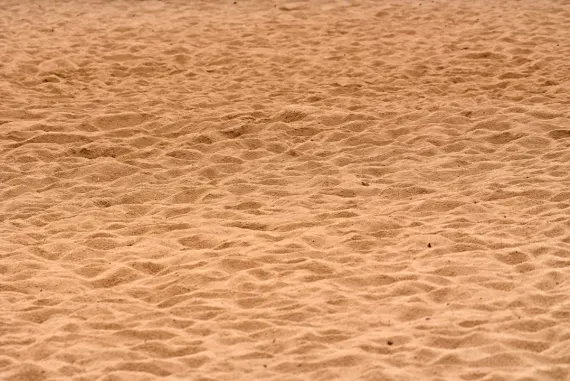 BigWins Casino Assistance